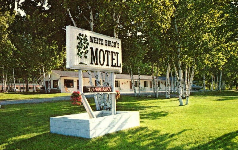 White Birchs Motel - Vintage Postcard